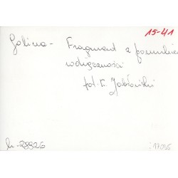 "Golina - Fragment z pomnikiem wdzięczności fot. K. Jabłoński 15-41 k-28926"