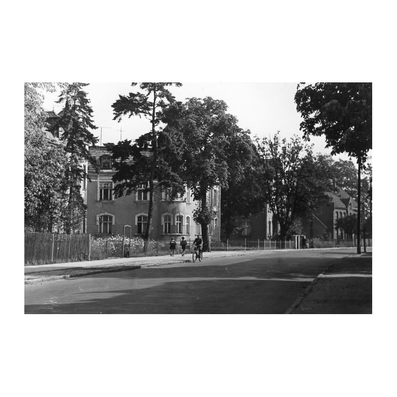 "Rogoźno Wlkp ul. Tadeusza Kościuszki fot. 31-2244"