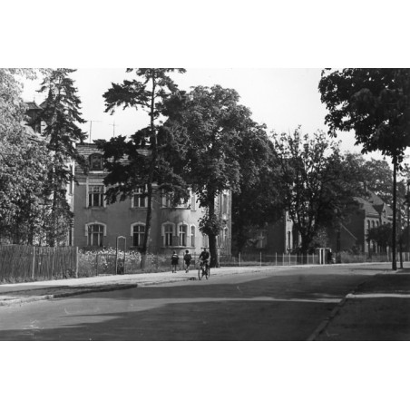 "Rogoźno Wlkp ul. Tadeusza Kościuszki fot. 31-2244"