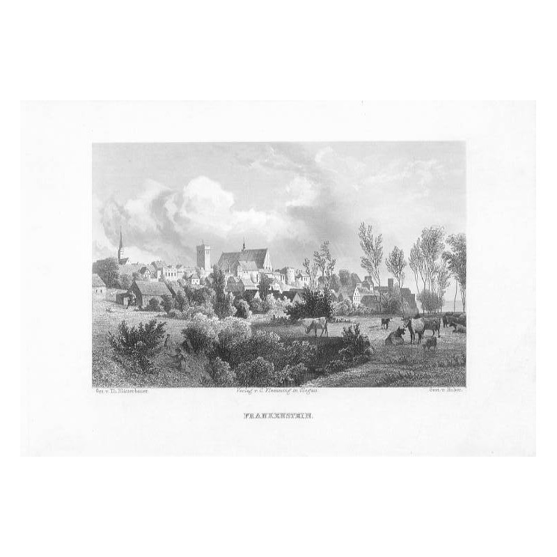 Frankenstein / "FRANKENSTEIN." / Ząbkowice Śląskie. Panorama miasta