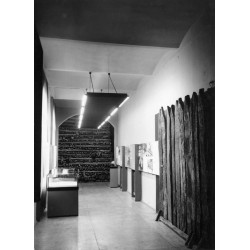 "Gniezno. Muz. archeolog. 31-554"