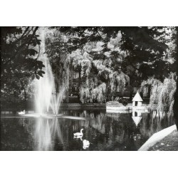 "Leszno Plac Kościuszki fot. P. Kochański 60-240 38055 barwne"