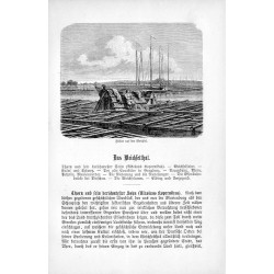 [1] "Flößer aus der Weichsel." [2] "Geburtshaus des Kopernikus zu Thorn."