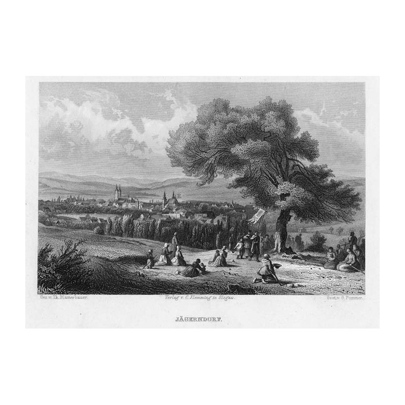 Panorama miasta Krnov / Jägerndorf / "JÄGERNDORF."