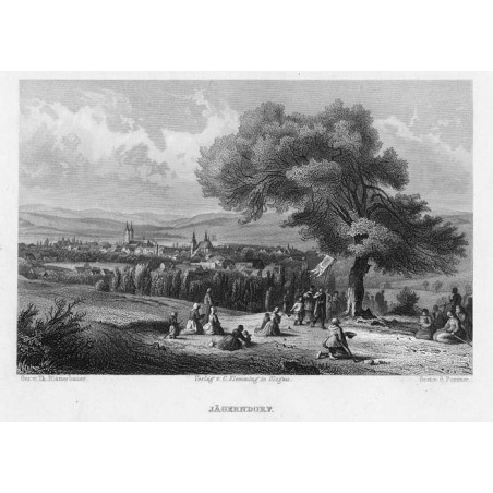 Panorama miasta Krnov / Jägerndorf / "JÄGERNDORF."