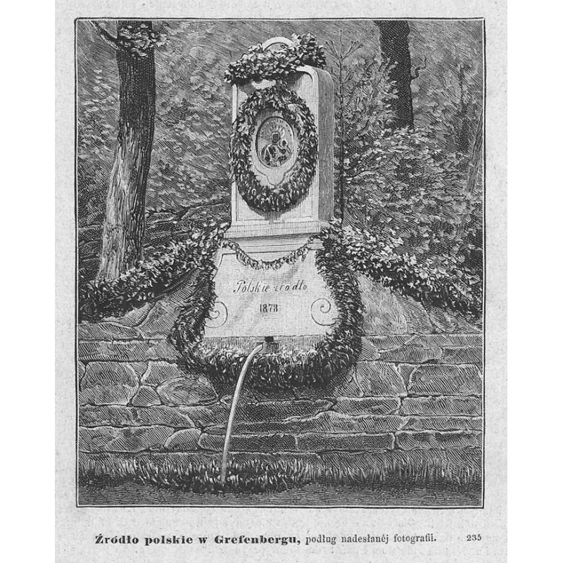 "Źródło polskie w Graefenbergu, podług nadesłanéj fotografii. 235"