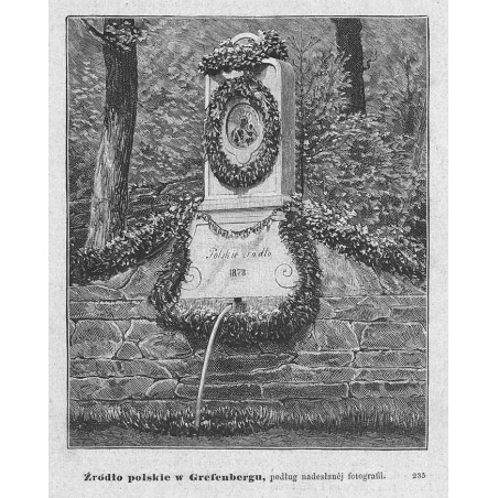 "Źródło polskie w Graefenbergu, podług nadesłanéj fotografii. 235"