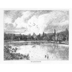 "Der große Seenteich." [Velké mechové jezírko]