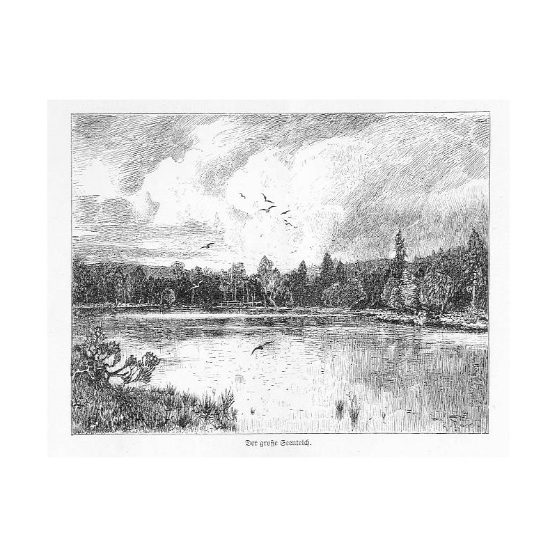 "Der große Seenteich." [Velké mechové jezírko]