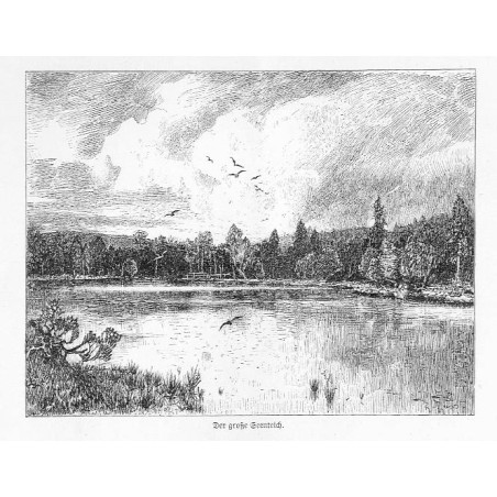 "Der große Seenteich." [Velké mechové jezírko]