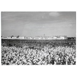 "PGR Żydowo - zabudowania Kombinatu fot. W. Stasiak 71-63 Barwne 02070-4"