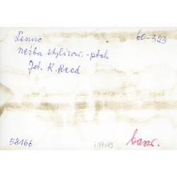 "Leszno rzeźba stylizow. - ptak fot. R. Reed 60-323 58166 barw."