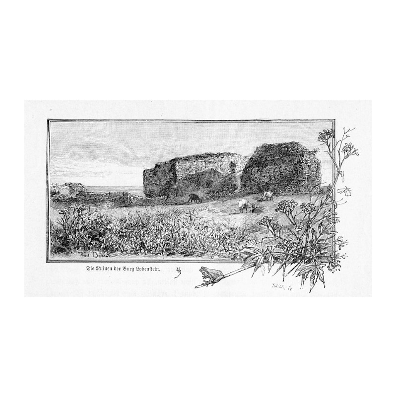 "Die Ruinen der Burg Lobenstein."
