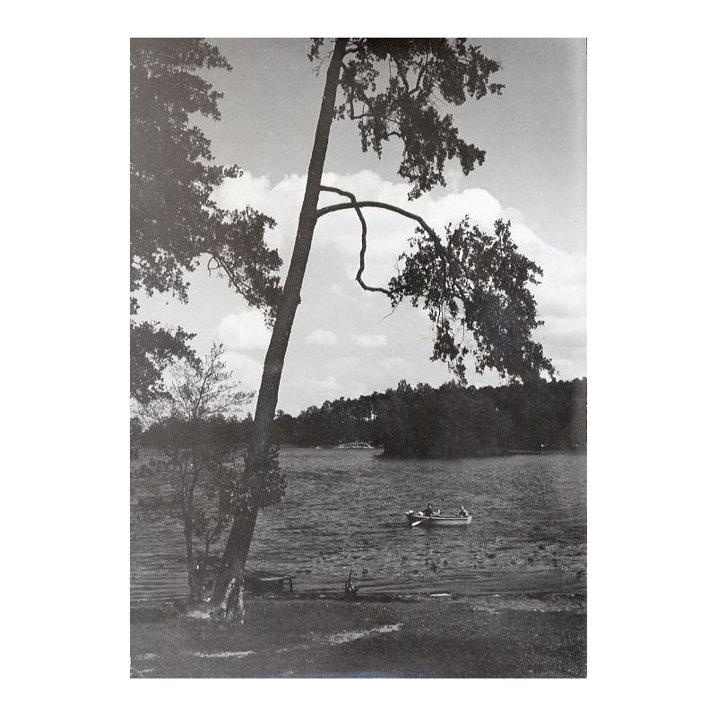 "Olejnica - jez. Przemęckie fot. J. Siudecki 60-152 32911 barwne"