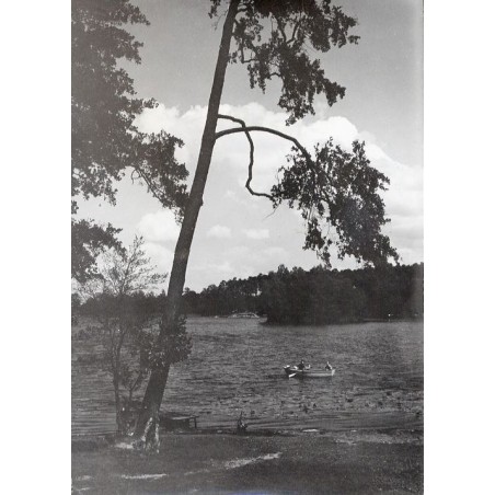 "Olejnica - jez. Przemęckie fot. J. Siudecki 60-152 32911 barwne"