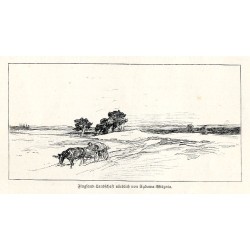 "FlugsandLandschaft nördlich von SądowaWisznia."