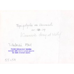 "Fryz gotycki na Kanoniach nr 10-14. Kanonie domy od Wisły (?). T. Zaleski 1961. 55454"