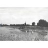 "Jezioro Przemęckie (w głębi Przemęt) fot. J. Siudecki 60-159 32804 Barwne"