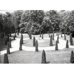 "Rogalin - Park pałacowy fot. Z. Żyburtowicz 71-336 40266 kolor"