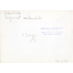 "Sokołowsko. Fragment uzdrowiska 5344/3 36-634"