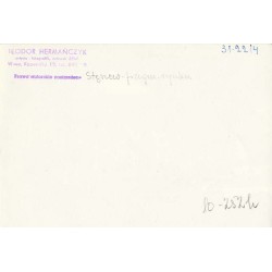 "Stęszew - fragm. rynku. 31-2214 10-2521"