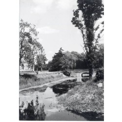 "Rydzyna Fragm. parku fot. J. Siudecki 60-118 28482 barwne"