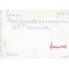 "Leszno Park Johnstona z pomnikiem fot. P. Kochański 60-239 38036 barwne"