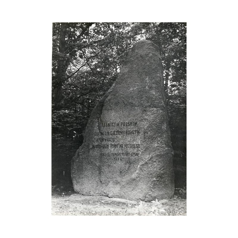 "Wielkopolski Park Narodowy - głaz narzutowy poświęcony pamięci leśników fot. W. Stasiak 71-295 06927-7 barwne"