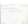 "Manieczki kaplica J. Wybickiego fot. St. Jabłońska 58886 71-732 barwne"