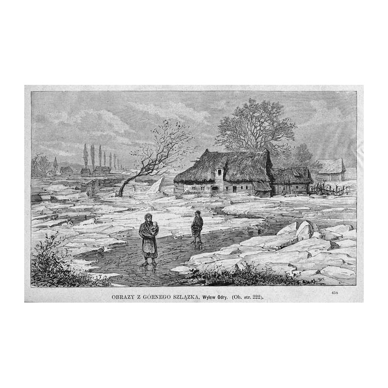 Obrazy z Górnego Śląska. Wylew Odry / "OBRAZY Z GÓRNEGO SZLĄZKA. Wylew Odry. [...] 458"