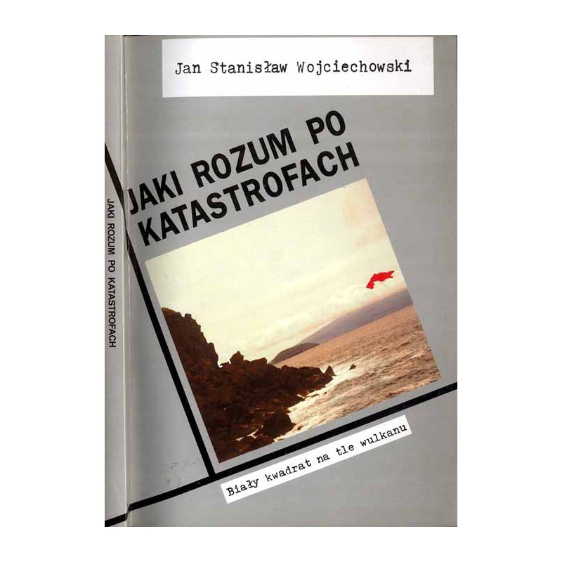 Jaki rozum po katastrofach. Wokół polskiej sztuki lat 90
