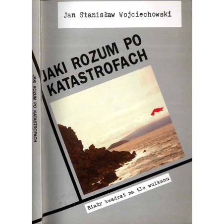 Jaki rozum po katastrofach. Wokół polskiej sztuki lat 90