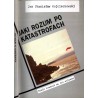 Jaki rozum po katastrofach. Wokół polskiej sztuki lat 90