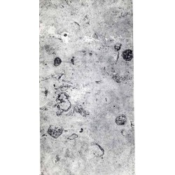 Wystawa prac. Andrzej Bielawski. Biuro Wystaw Artystycznych w Poznaniu, Stary Rynek Arsenał, luty-marzec 1981