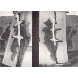 Piotr Kmieć. Czarnostany linearne. Galeria BWA Lublin, ul. Narutowicza 4