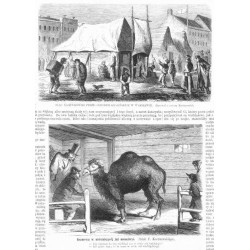 [1] "PLAC NALÉWKOWSKI PRZED OGRODEM KRASIŃSKICH W WARSZAWIE. (Rysował z natury Kostrzewski)." [2] "Rozmowa w nieistniejącéj już