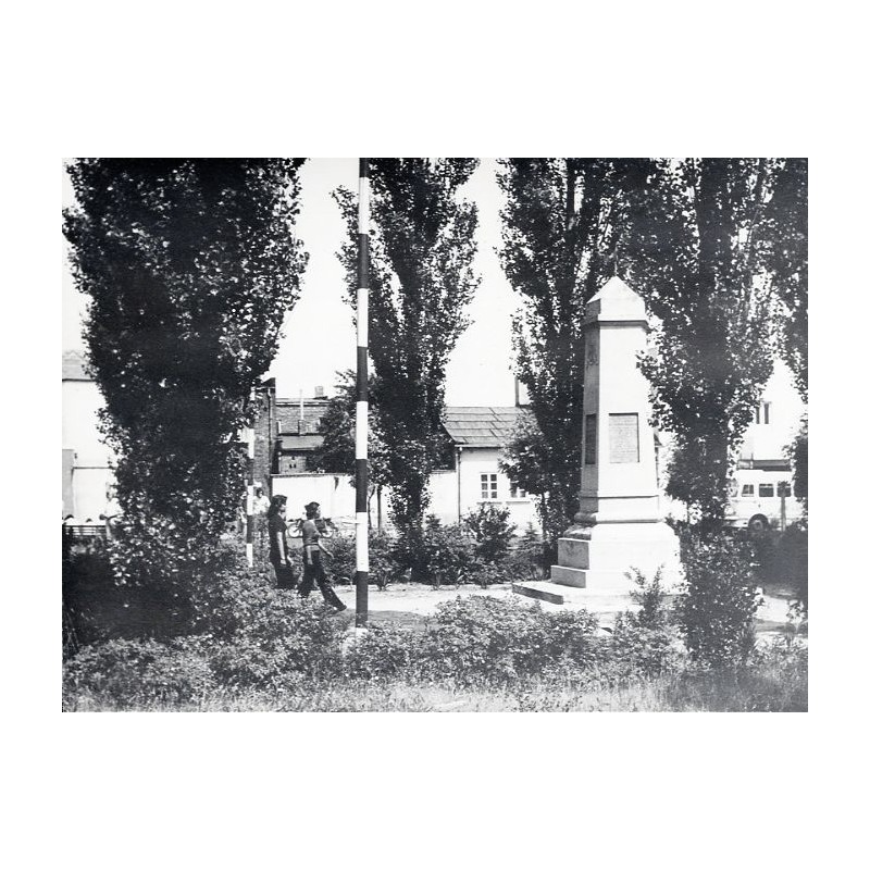 "Ślesin Pomnik wdzięczności fot. B. Łopieńska 15-109 29848 kolor"