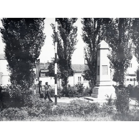 "Ślesin Pomnik wdzięczności fot. B. Łopieńska 15-109 29848 kolor"