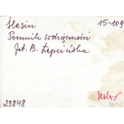 "Ślesin Pomnik wdzięczności fot. B. Łopieńska 15-109 29848 kolor"