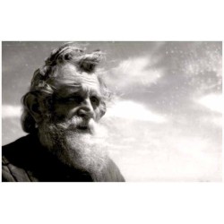 Kompozycja bez tytułu / portret starego mężczyzny z brodą