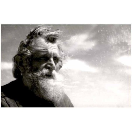 Kompozycja bez tytułu / portret starego mężczyzny z brodą