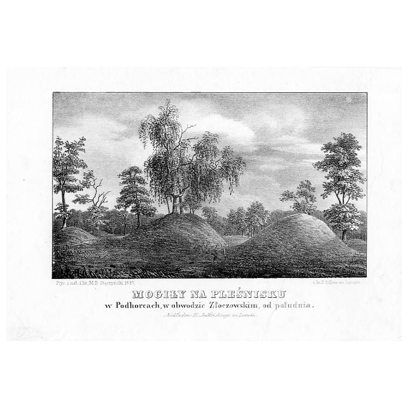 Mogiły na Pleśnisku w Podhorcach, w obwodzie Złoczowskim, od południa / "MOGIŁY NA PLEŚNISKU w Podhorcach, w obwodzie Złoczowski