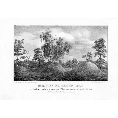 Mogiły na Pleśnisku w Podhorcach, w obwodzie Złoczowskim, od południa / "MOGIŁY NA PLEŚNISKU w Podhorcach, w obwodzie Złoczowski