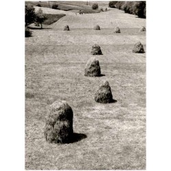 Kompozycja bez tytułu / Pejzaż ze snopkami siana