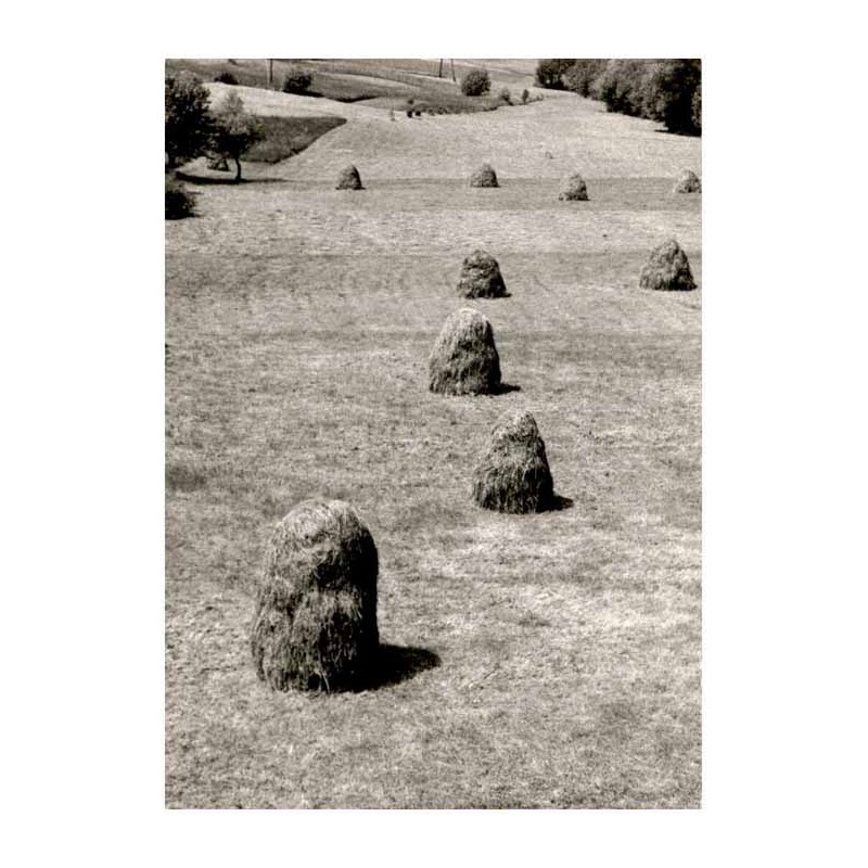 Kompozycja bez tytułu / Pejzaż ze snopkami siana