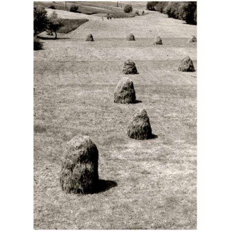 Kompozycja bez tytułu / Pejzaż ze snopkami siana