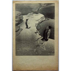 "Z Londyńskiego Zoo" / Pingwiny w Zoo