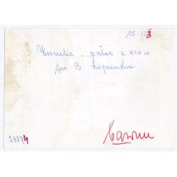 "Kościelec - pałac z XIX w fot. B. Łopieńska 15-103 29874 barwne"