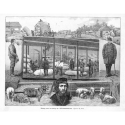 "Targ na wełnę w Warszawie. Rysował E. Perl."