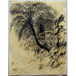 Kompozycja egzotyczna z palmami